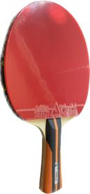 JOOLA - J Carbon + Vizon pálka