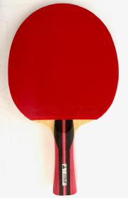 JOOLA - Offense + Tronix ACC pálka