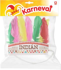 KARNEVAL Čelenka indiánská barevné peří (karnevalový doplněk)