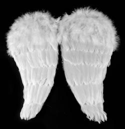 KARNEVAL Křídla andělská s peřím 48cm (karnevalový doplněk)