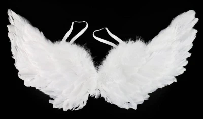 KARNEVAL Křídla andělská s peřím 50cm (karnevalový doplněk)