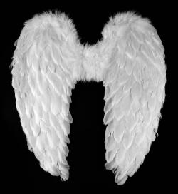 KARNEVAL Křídla andělská s peřím 55cm (karnevalový doplněk)