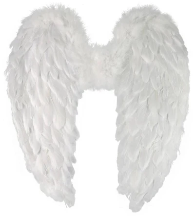 KARNEVAL Křídla andělská s peřím 55cm (karnevalový doplněk)