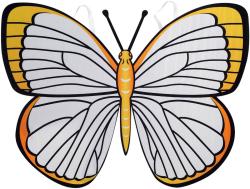 KARNEVAL Křídla motýlí na záda kreativní set s 6 fixy k vybarvení