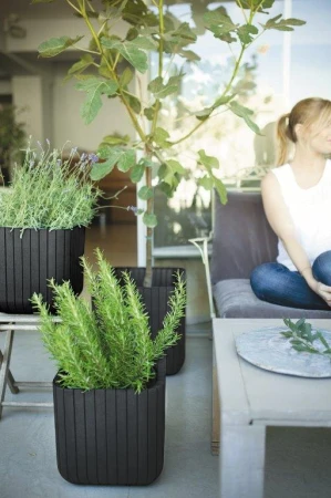 Keter Cube Planter S antracitový květináč