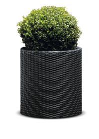 Keter Květináč Cylinder M grafitový