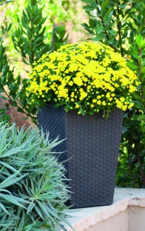 Keter Rattan Planter S grafitový 23,6 l květináč