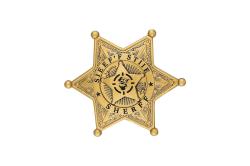 Kovový revolver zlatý - kompletní sada