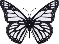 Křídla motýlí na gumičku na záda kreativní set s 6 fixy k vybarvení