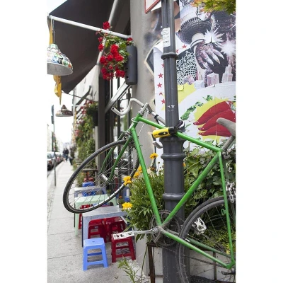 Kryptonite New York Standard + Flexframe zámek