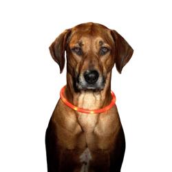 LED obojek dobíjecí Karlie, zelená 75 cm
