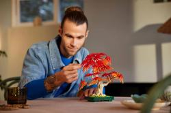 Lego BOTANICALS Bonsaj japonský červený javor 10348 (stavebnice)