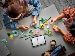 Lego BOTANICALS Drobná slunečná kytice 10347 (stavebnice)