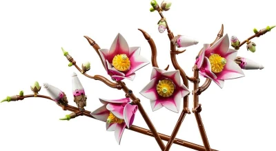 Lego BOTANICALS Větvičky magnólie 11510 (stavebnice)