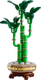 Lego BOTANICALS Bambus štěstí 10344 (stavebnice)