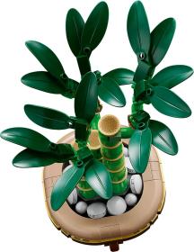 Lego BOTANICALS Bambus štěstí 10344 (stavebnice)