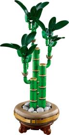 Lego BOTANICALS Bambus štěstí 10344 (stavebnice)