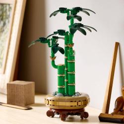 Lego BOTANICALS Bambus štěstí 10344 (stavebnice)