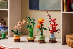 Lego BOTANICALS Bambus štěstí 10344 (stavebnice)