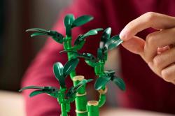 Lego BOTANICALS Bambus štěstí 10344 (stavebnice)