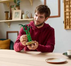 Lego BOTANICALS Bambus štěstí 10344 (stavebnice)