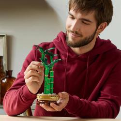 Lego BOTANICALS Bambus štěstí 10344 (stavebnice)
