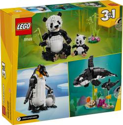 Lego CREATOR Divoká zvířata: Pandí rodinka 3v1 31165 (stavebnice)