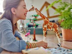 Lego CREATOR Divoká zvířata ze safari 3v1 31150 (stavebnice)