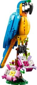 Lego CREATOR Exotický papoušek 3v1 31136 (stavebnice)