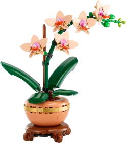 Lego BOTANICALS Miniaturní orchidej 10343 (stavebnice)
