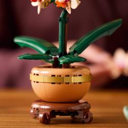 Lego BOTANICALS Miniaturní orchidej 10343 (stavebnice)