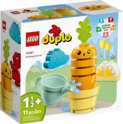 Lego DUPLO Pěstování mrkve 10981 (stavebnice) Lego DUPLO Pěstování mrkve 10981 (stavebnice)