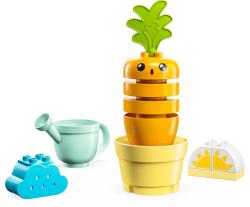 Lego DUPLO Pěstování mrkve 10981 (stavebnice)