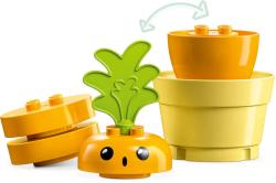Lego DUPLO Pěstování mrkve 10981 (stavebnice)