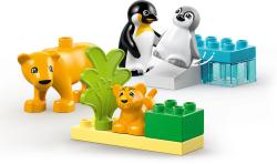 Lego DUPLO Rodinky divokých zvířat: Tučňáci a lvi 10442 (stavebnice)