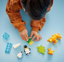 Lego DUPLO Rodinky divokých zvířat: Tučňáci a lvi 10442 (stavebnice)