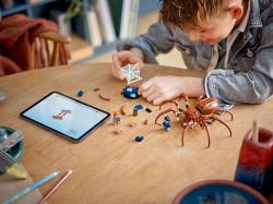 Lego HARRY POTTER Aragog v Zapovězeném lese 76434 (stavebnice)