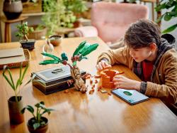 Lego HARRY POTTER Mandragora 76433 (stavebnice)