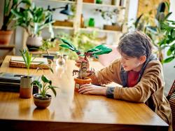 Lego HARRY POTTER Mandragora 76433 (stavebnice)