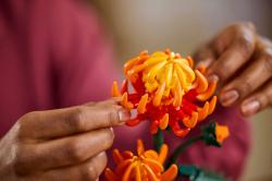 Lego BOTANICALS Chryzantéma 10368 (stavebnice)