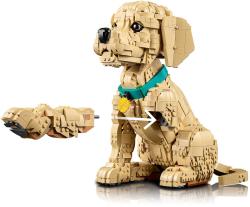 Lego ICONS Štěně zlatého retrívra 11384 (stavebnice)