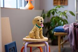 Lego ICONS Štěně zlatého retrívra 11384 (stavebnice)