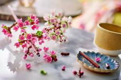 Lego Třešňové květy 40725 (stavebnice)