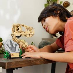 Lego JURASSIC WORLD Dinosauří fosilie: Lebka T-Rexe 76964 (stavebnice)