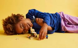 Lego MINECRAFT Steve a výprava do pouště 21251 (stavebnice)