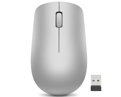 Lenovo myš CONS 530 bezdrátová = stříbrná (Platinum Grey) Lenovo myš CONS 530 bezdrátová = stříbrná (Platinum Grey)