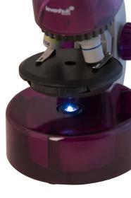 Levenhuk Mikroskop LabZZ M101 Amethyst