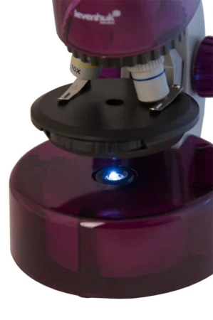 Levenhuk Mikroskop LabZZ M101 Amethyst