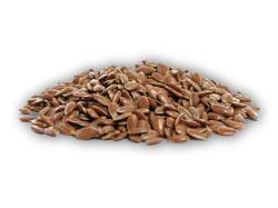 Life Like Ľanové semienka 250g Life Like Ľanové semienka 250g