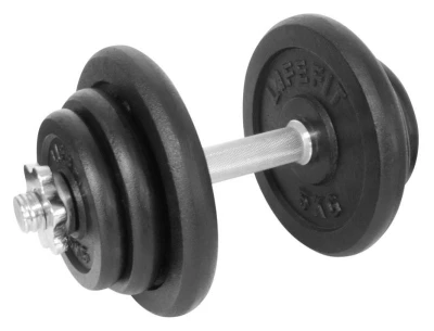 Lifefit Činka nakladacia jednoručná 20 kg 30mm tyč/6x kotúč
